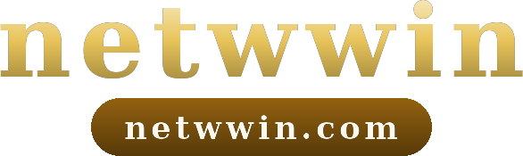 netwwin logo